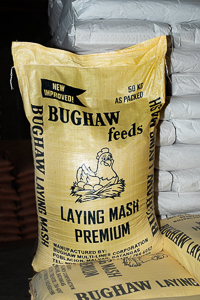 Laying Mash Premium