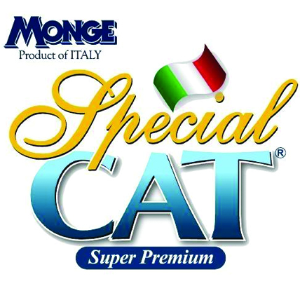 Special Cat