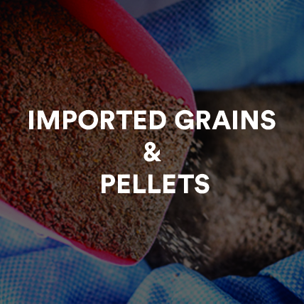 Imported Grains and Pellets